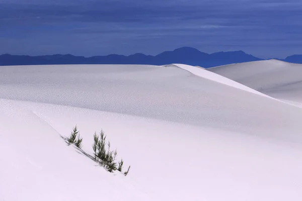 Bílé písky Národní památník Nové Mexiko, usa — Stock fotografie