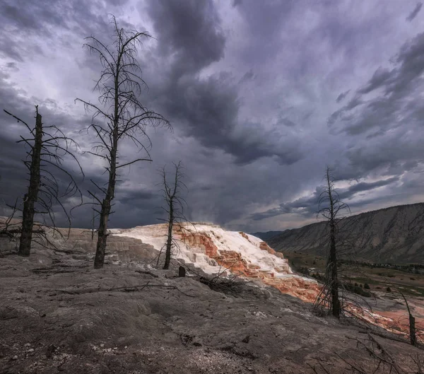 Mammoth Hot Springs, Yellowstone National Park, Wyoming, États-Unis — Photo