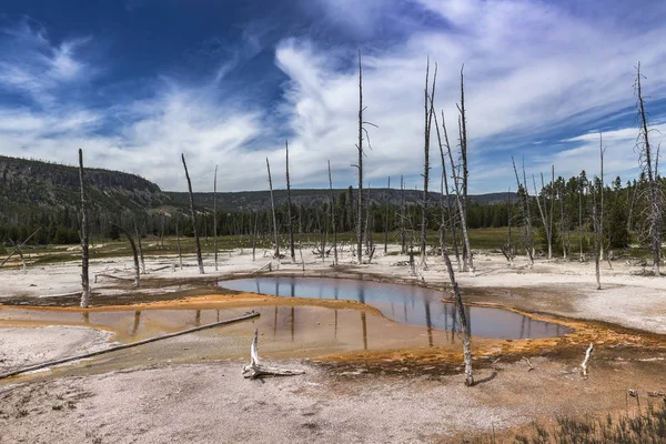 Park Narodowy Yellowstone, Wyoming, usa — Zdjęcie stockowe