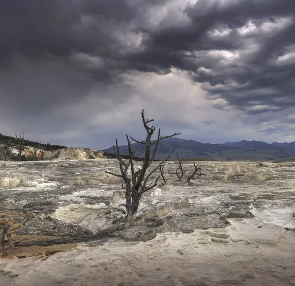 Μαμούθ καυτά ελατήρια, yellowstone εθνικό πάρκο, Ουαϊόμινγκ, ΗΠΑ — Φωτογραφία Αρχείου