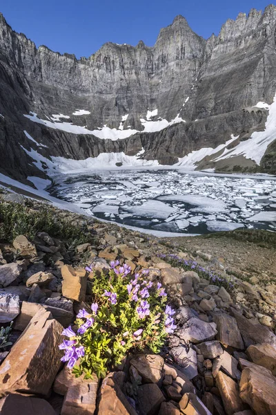 Παγόβουνο στη λίμνη, παγετώνας εθνικό πάρκο, Μοντάνα, ΗΠΑ — Φωτογραφία Αρχείου