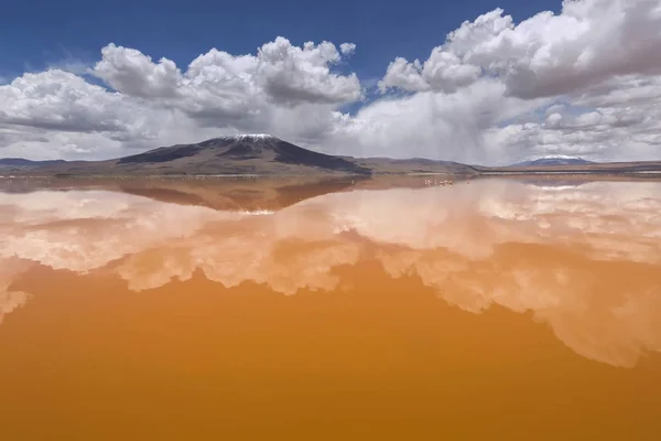 Colorado laguny, Altiplano w Boliwii — Zdjęcie stockowe
