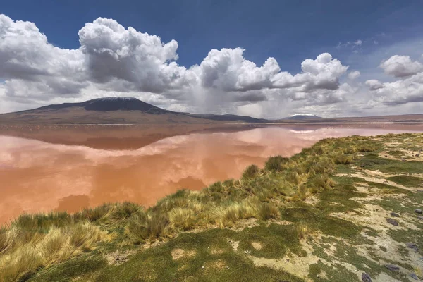 Laguna de Colorado, Altiplano, Bolivia —  Fotos de Stock