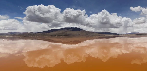 Laguna Colorada Altiplano Boliwia — Zdjęcie stockowe