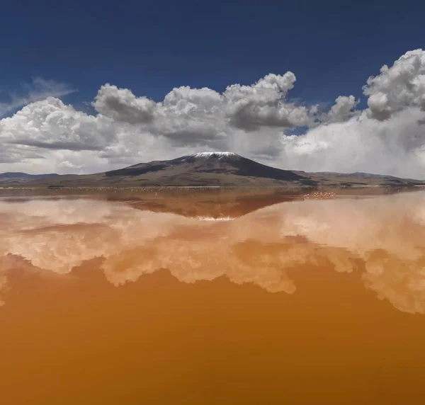 Laguna Colorada, Altiplano, Boliwia — Zdjęcie stockowe