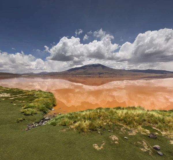 Lagune Colorada, Altiplano, Bolivie — Photo