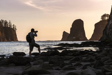 Rialto Beach olimpik Milli Parkı, Washington, ABD