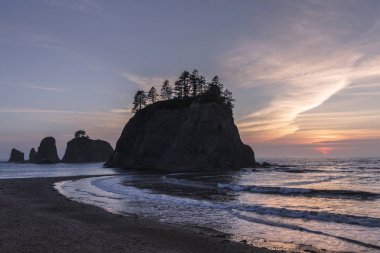 Rialto Beach olimpik Milli Parkı, Washington, ABD