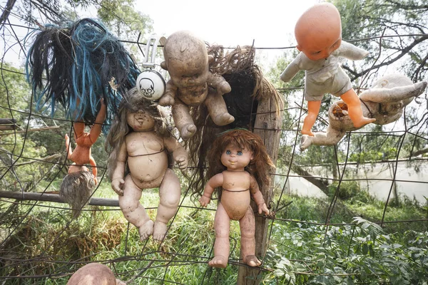 Island of dolls in Xochimilco's Floating Gardens — Stock Photo, Image