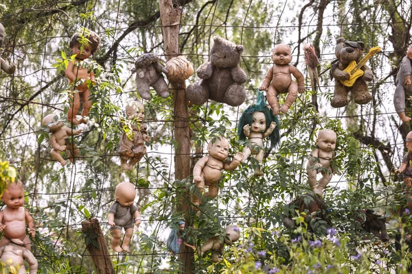 Eiland van poppen in Xochimilco van drijvende tuinen — Stockfoto