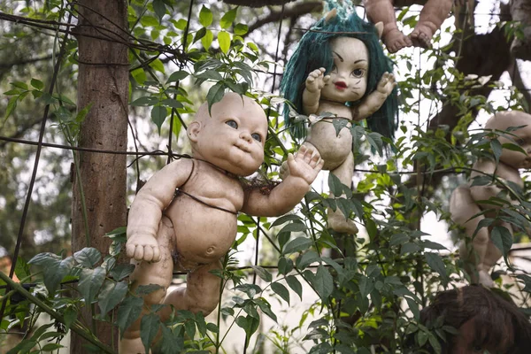 Island of dolls in Xochimilco's Floating Gardens — Stock Photo, Image