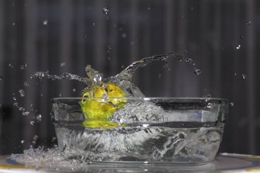 Suyla uyum içinde bir tenis topunun dansı.