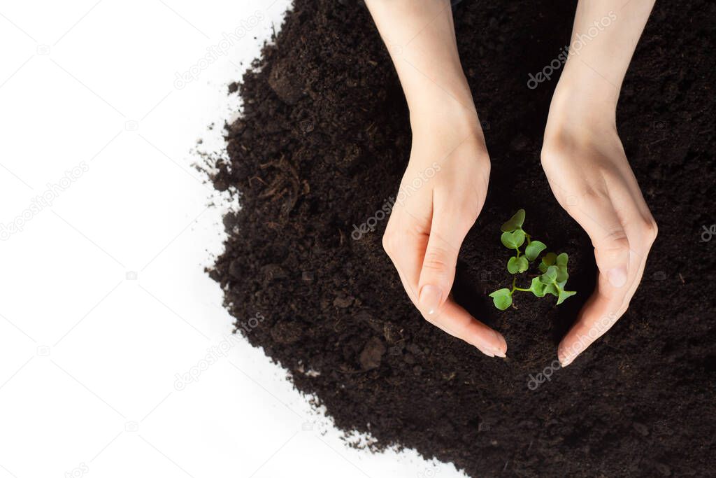 Earth day and Ecology.Plant in hands.Young couple carrying plant and planted a plant in to the soil on land back ground.field. Photo concept save world and ecology. copy space. story.