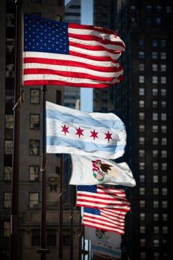 Chicago ve Illinois belediyelerinin bayrağı