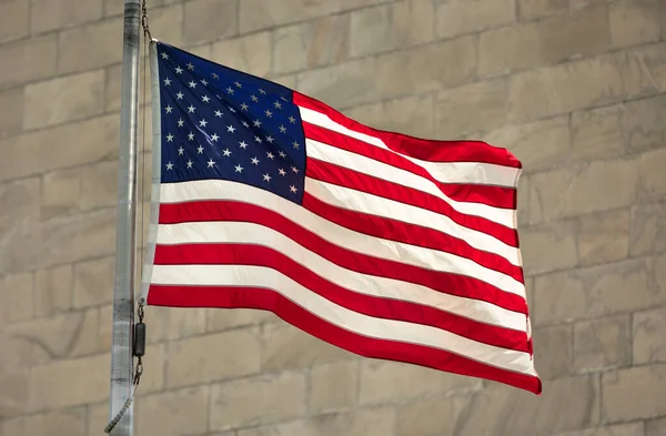 National Mall USA 'deki Washington Anıtı' nda ABD bayrakları dalgalanıyor.