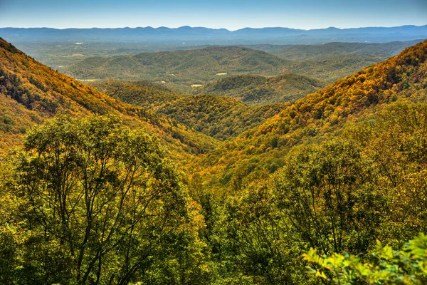 Árvore Coberto Colinas Das Montanhas Blue Ridge Carolina Norte Eua — Fotografia de Stock