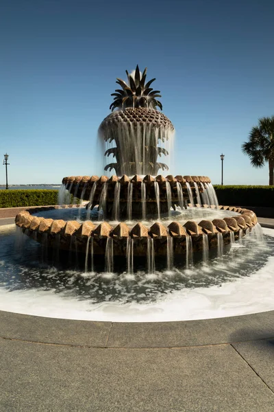 Waterfront Park Pinapple Fountain Het Historische South Carolina Aan Cooper — Stockfoto