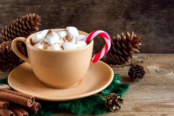 Marshmallow ile sıcak çikolata, tarçın ve naneli şeker kamışı rustik masa yakın - ev yapımı sıcak şenlikli içecek üzerinde Noel için ve tatil kış