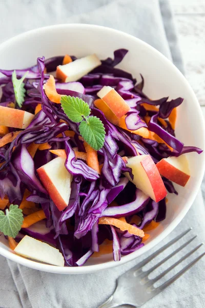 Rødkål Coleslaw Salat Med Gulerødder Æbler Sund Kost Detox Vegansk - Stock-foto