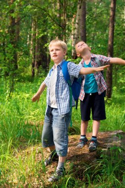 Bir yaz ormanda yürüyüş sırt çantaları çocuklarla gitmek hiking ve having fun açık