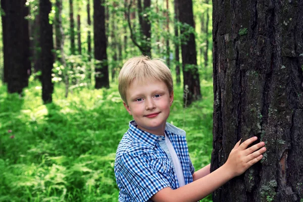 Criança Menino Mãos Abraçando Pinheiro Árvore Brincando Divertindo Livre Floresta — Fotografia de Stock