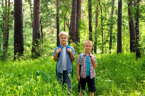 Crianças Com Mochilas Andando Uma Floresta Verão Caminhadas Divertir Livre — Fotografia de Stock