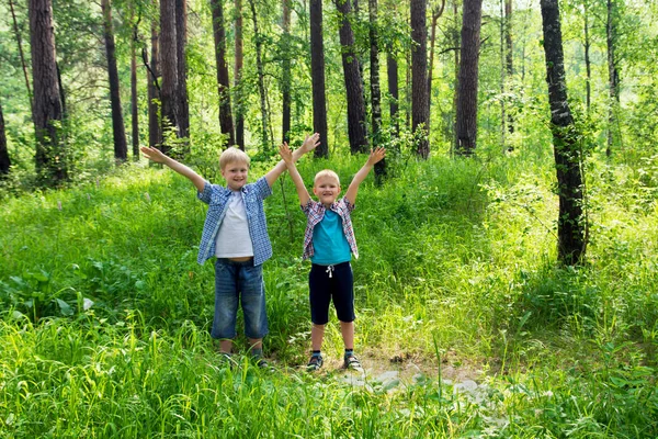 Счастливые Дети Мальчики Друзья Гуляют Летнем Лесу Ходят Походы Веселятся — стоковое фото