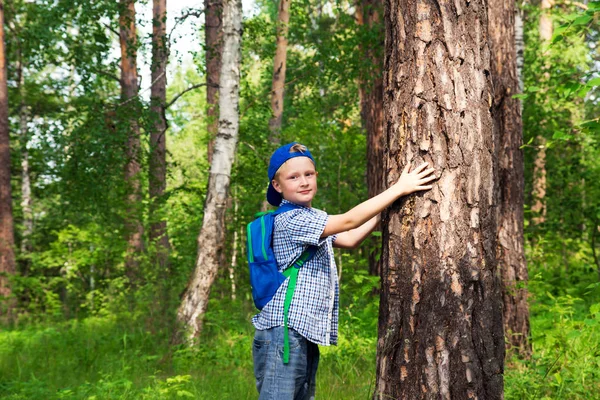 Ребенок Мальчик Руки Обнимает Сосну Большое Дерево Играет Веселится Свежем — стоковое фото