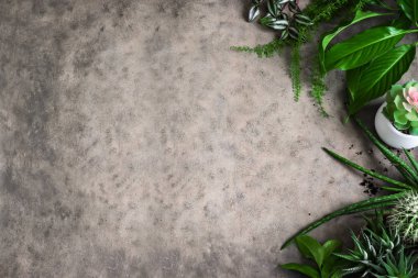 Şehir ormanı kavramı