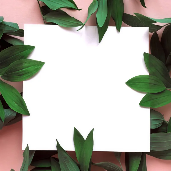 緑の葉の創造的なレイアウト ピンクと白の空の正方形のフレーム上の野生植物 コピースペース 生態系のデザイン コンセプト — ストック写真