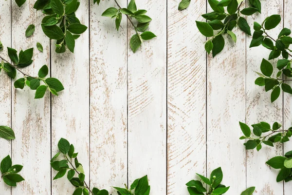 Old White Wooden Background Green Leaves Top View Copy Space — Stock Photo, Image