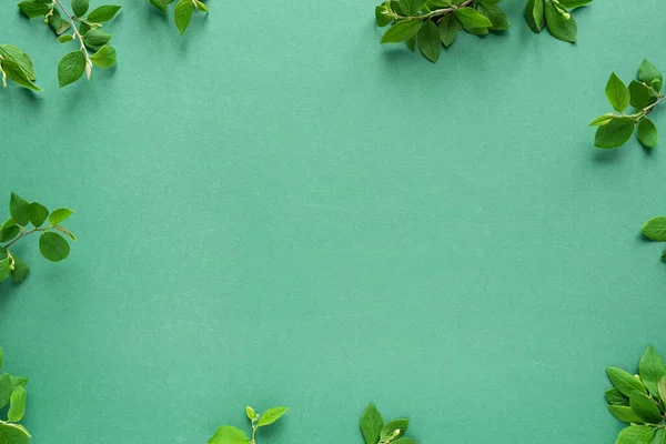 Diseño Creativo Hecho Hojas Verdes Ramitas Primavera Sobre Fondo Verde —  Fotos de Stock