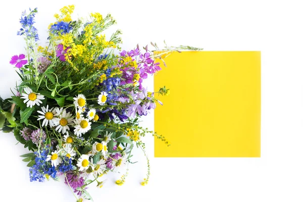 Vahşi Yaz Çiçekleri Sarı Arka Planda Bir Demet Çayır Çiçeği — Stok fotoğraf