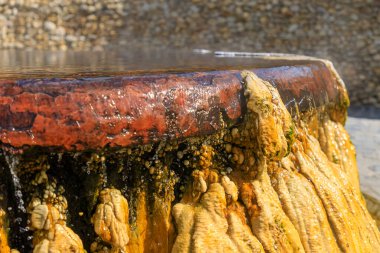 Raksa Warin parkındaki ünlü doğal kaplıca kuyusu, Ranong, Tayland.