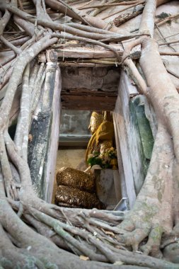 Kilisedeki banyan kökleriyle kaplı antik Buda heykeli. Amphawa 'daki ünlü turizm merkezi, Samut Songkhram, Tayland