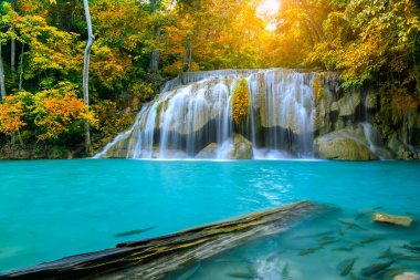Sonbahar boyunca Ulusal Park Ormanı 'nda renkli görkemli şelale