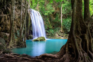 Şelale uçurumu seviye 3, Erawan Ulusal Parkı, Kanchanaburi, Tayland