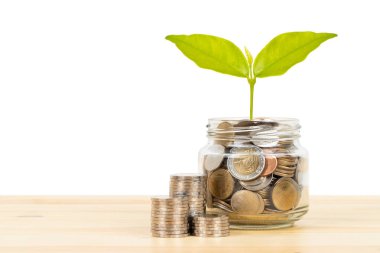 Bozuk para kavanozu kabı ve ağaç yaprakları ile ahşap masa üzerinde yığın, tasarruf kavramı, beyaz arka plan