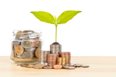 Bozuk para kavanozu kabı ve ağaç yaprakları ile ahşap masa üzerinde yığın, tasarruf kavramı, beyaz arka plan