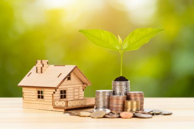 Yaprakları büyüyen para yığını ve model ev, ahşap masa üzerinde yeşil ağaç arka plan, ipotek konsepti