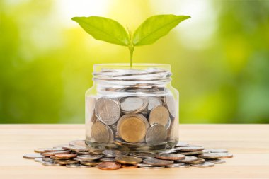 Bozuk para kavanozu kabı ve para yığını ahşap masa üzerinde büyüyen yapraklar, yeşil ağaç arka planda, tasarruf kavramı