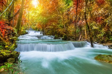 Sonbahar boyunca Ulusal Park Ormanı 'nda renkli görkemli şelale - Görüntü