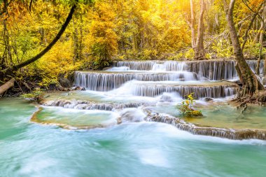 Sonbahar boyunca Ulusal Park Ormanı 'nda renkli görkemli şelale - Görüntü