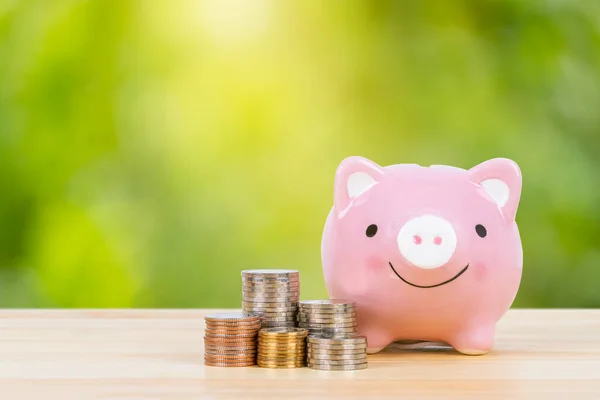 Pink Piggy Bank Coin Stack Steps Sunlight Ray Green Tree — Stock Photo, Image