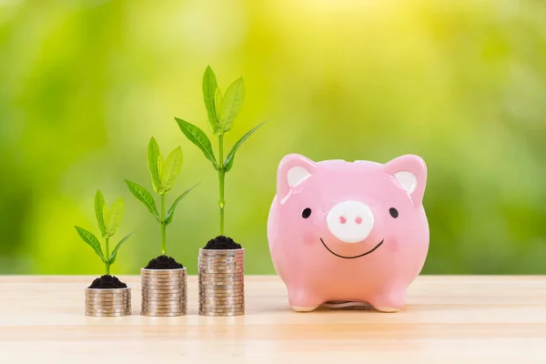 Malacka Bank Érme Halom Növekvő Levelek Zöld Háttér Megtakarítás Koncepció — Stock Fotó