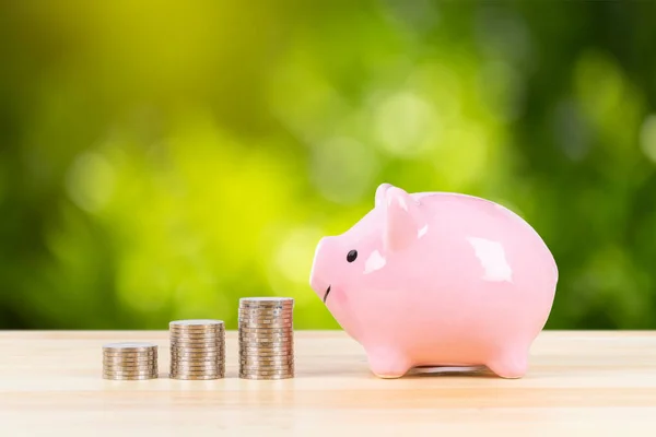 Pink Piggy Bank Coin Stack Steps Sunlight Ray Green Tree — Stock Photo, Image