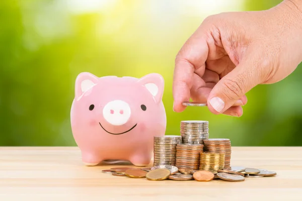 Piggy Bank Coin Stack Hand Putting Money Pile Green Tree — Stock Photo, Image