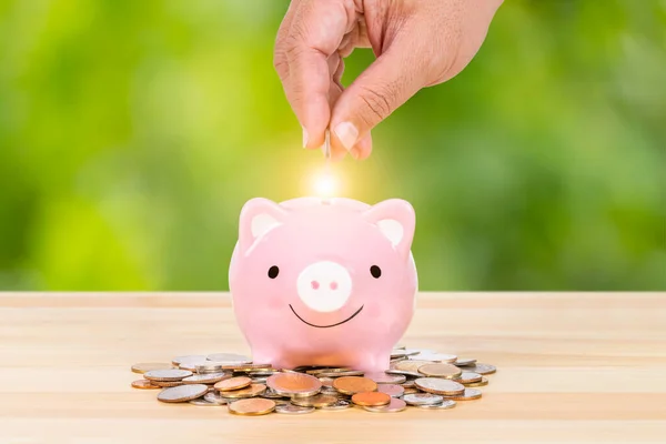 Hucha Con Mano Insertar Moneda Dinero Sobre Fondo Árbol Verde —  Fotos de Stock