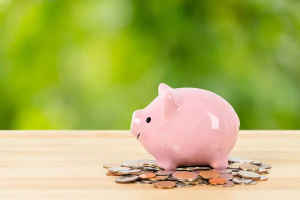 Pink Piggy Bank Coin Pile Green Tree Background Saving Money — Stock Photo, Image