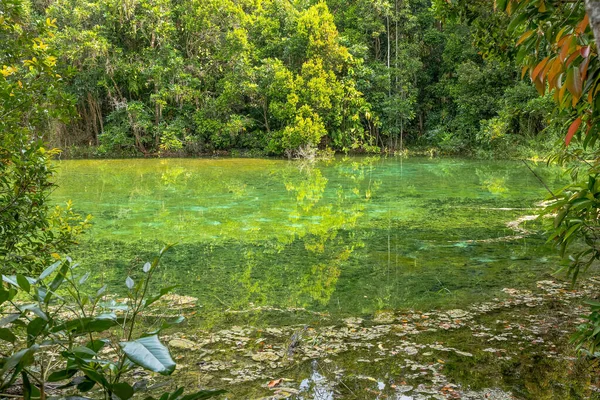 Beautiful Crystal Clear Glass Pool Emerald Pool National Park Krabi — Stock Photo, Image